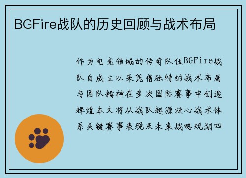 BGFire战队的历史回顾与战术布局