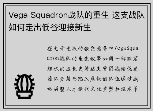 Vega Squadron战队的重生 这支战队如何走出低谷迎接新生