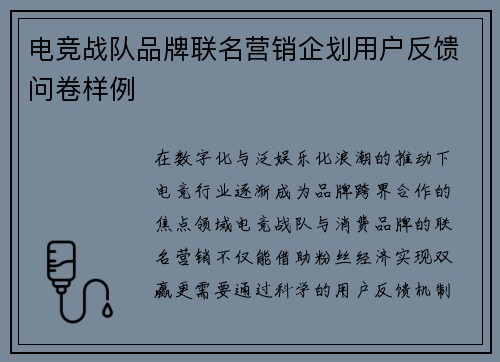 电竞战队品牌联名营销企划用户反馈问卷样例