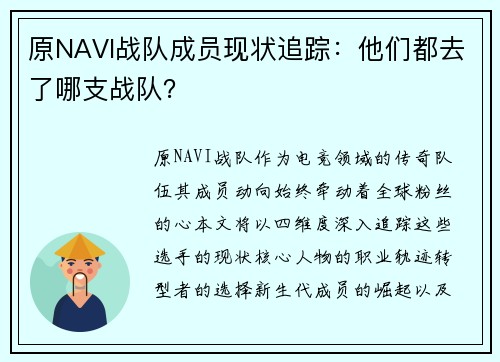 原NAVI战队成员现状追踪:他们都去了哪支战队?